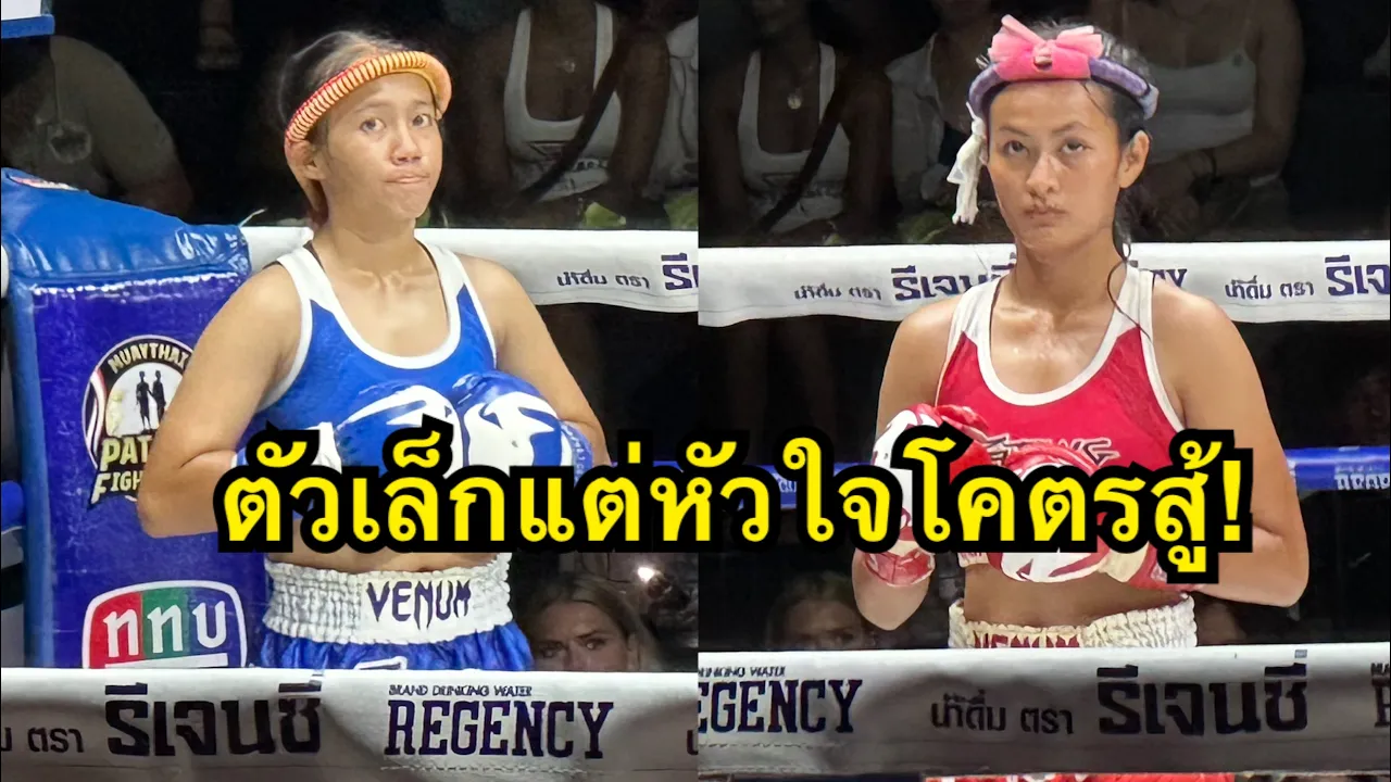 ตัวเล็กแต่ใจสู้! นีน่า บางเทามวยไทย& mma vs ดาวใต้ เทวฤทธิ์น้อย กระบี่ไลอ้อนมวยไทย backdrop