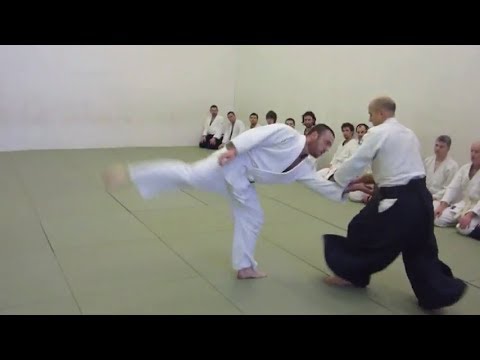 Aikido Cyril Lagrasta - 5th Dan Aikikai (Dublin, January 2010) 2/2