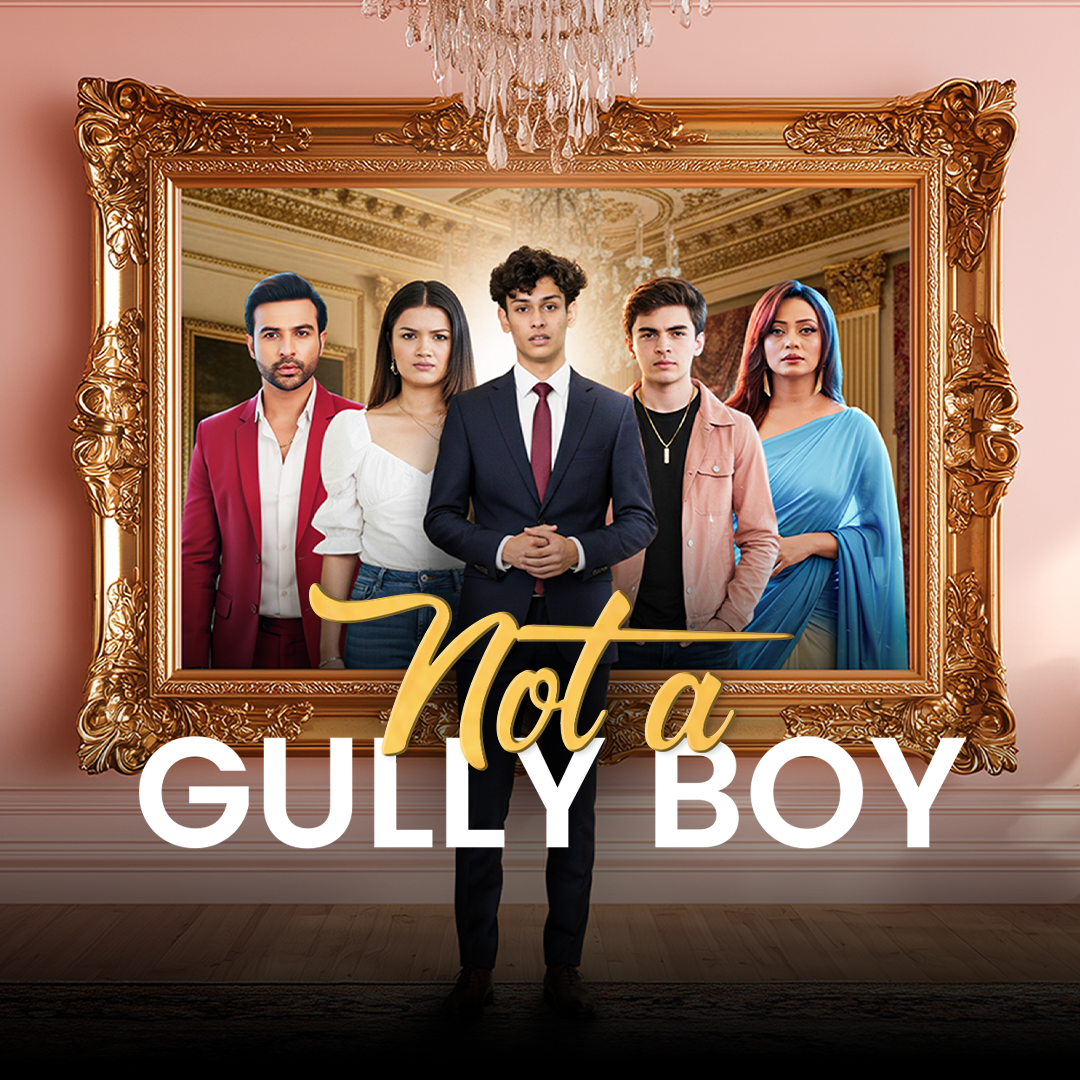 Not a Gully Boy poster