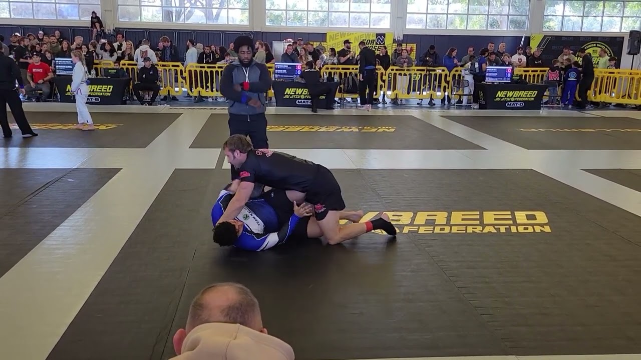 Bjj Blue Belts struggle for supremacy at Jacksonville Newbreed Jan 2023 background