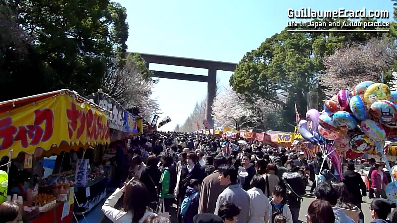 Cherry Blossoms in Tokyo (Yasukuni-jinja) May 2012 background