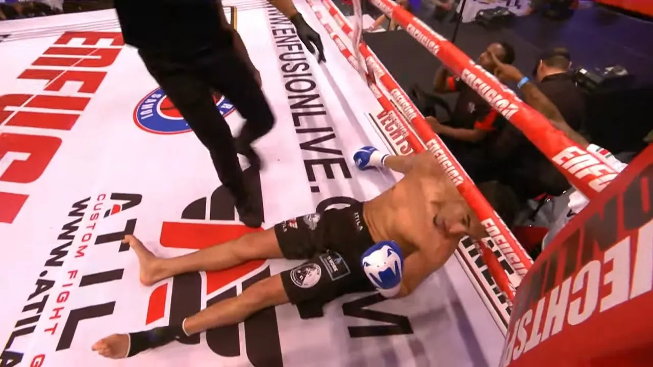 Best MMA Knockouts January 2024 Week 2 HD background