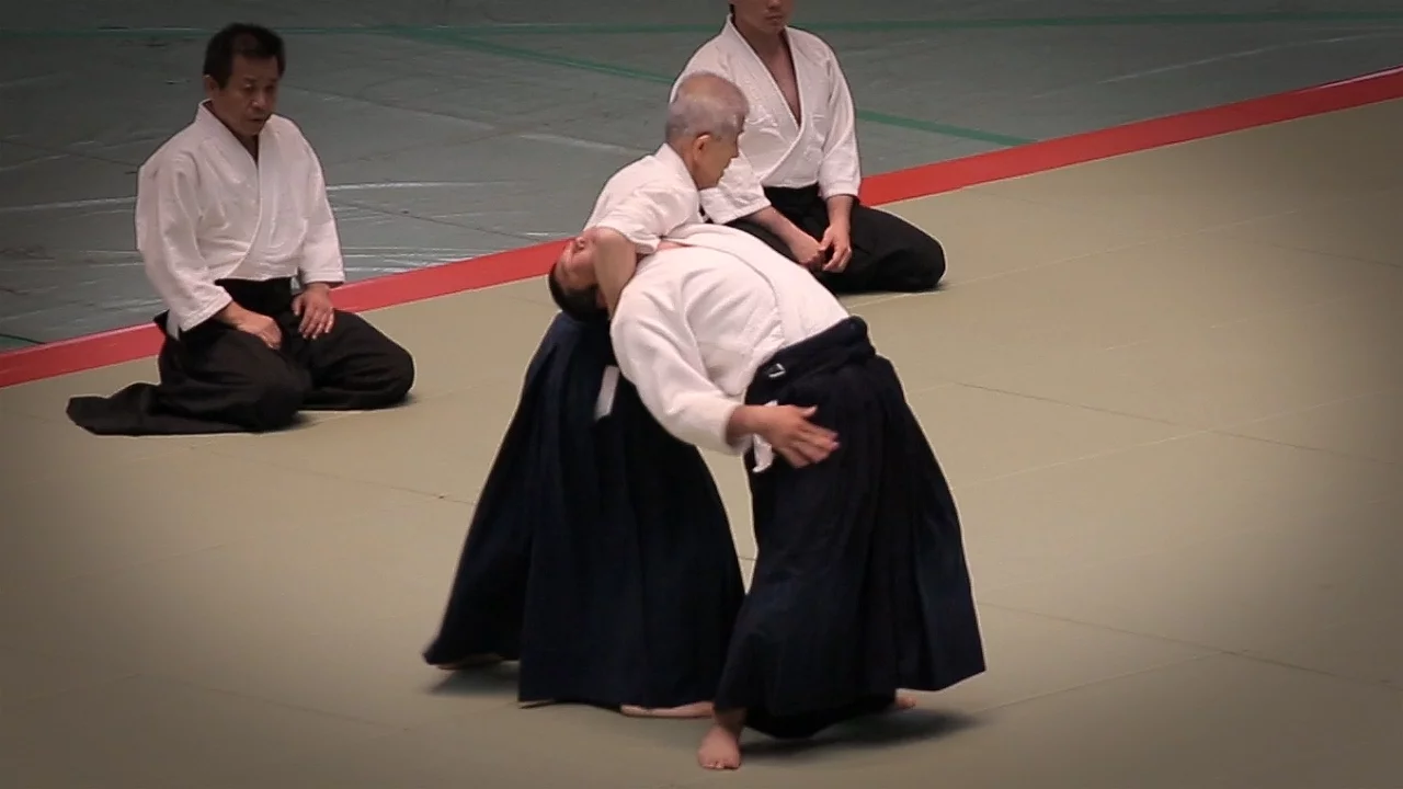 Aikido - Wada Akira Shihan - 53rd All Japan Aikido Demonstration (2015)