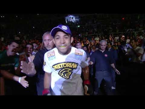 The King of Rio: Jose Aldo Greatest Hits background