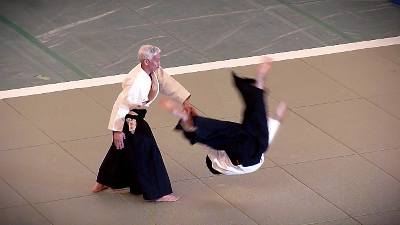 Aikido - Ueshiba Moriteru Doshu - 51st All Japan Aikido Demonstration 2013 background
