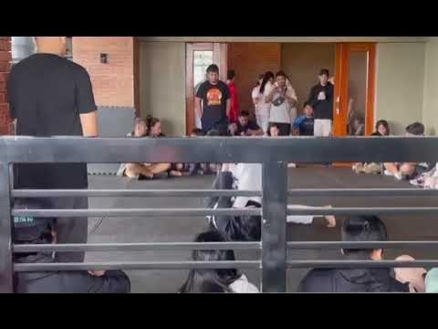 BJJ White Belt Match From Philippines Ends In Submission backdrop