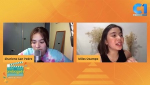 Usapang Fangirling