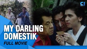 My Darling Domestik
