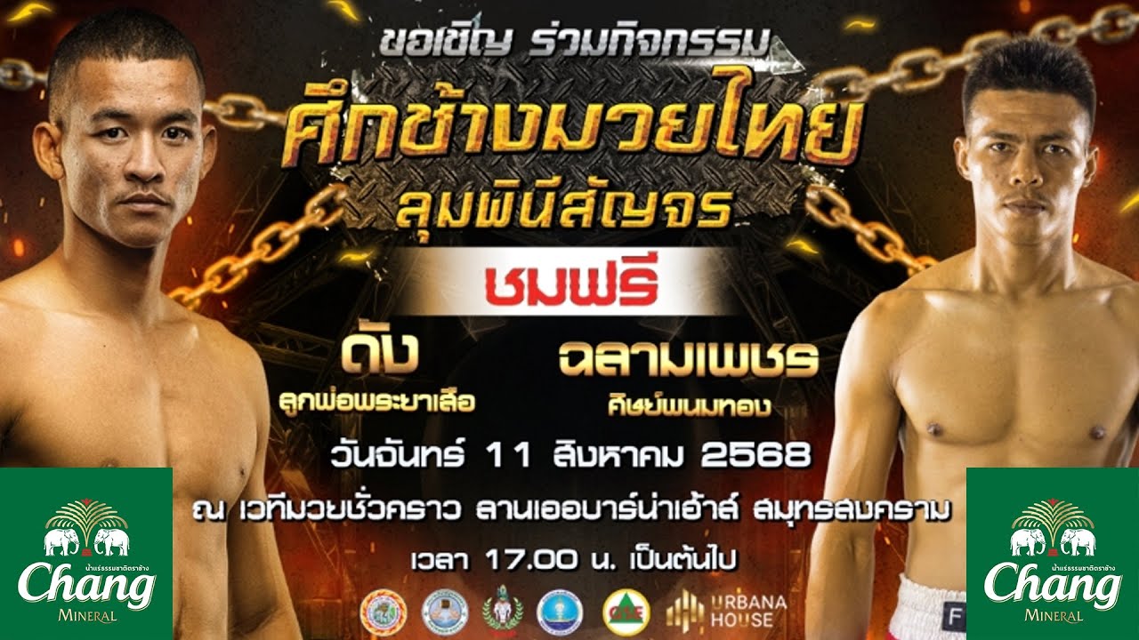 ช้างมวยไทยลุมพินีสัญจร 💥🥊 วันจันทร์ที่ 11 สิงหาคม 2568 backdrop