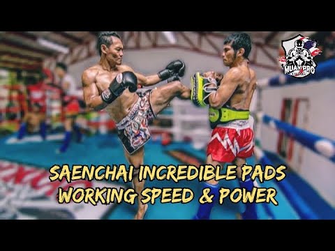 Saenchai Incredible Pads Working Speed & Power backdrop