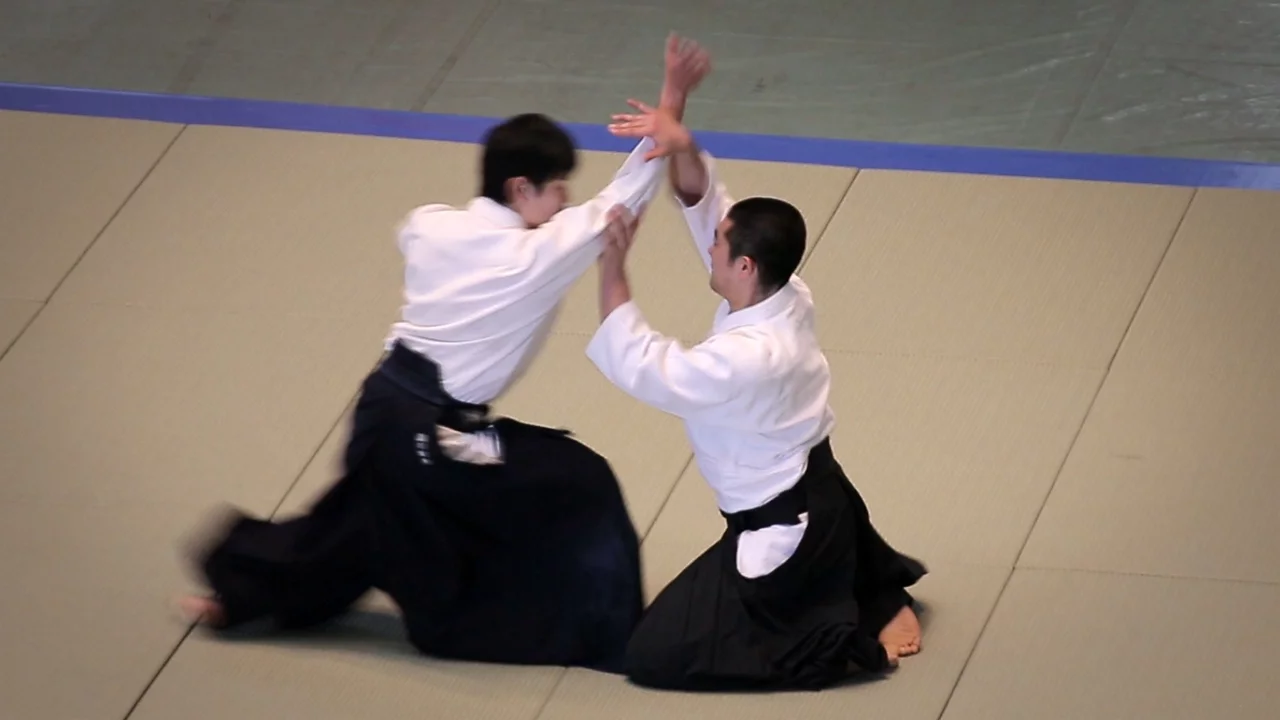 Aikido - Hino Terumasa Shidoin - 53rd All Japan Aikido Demonstration (2015)