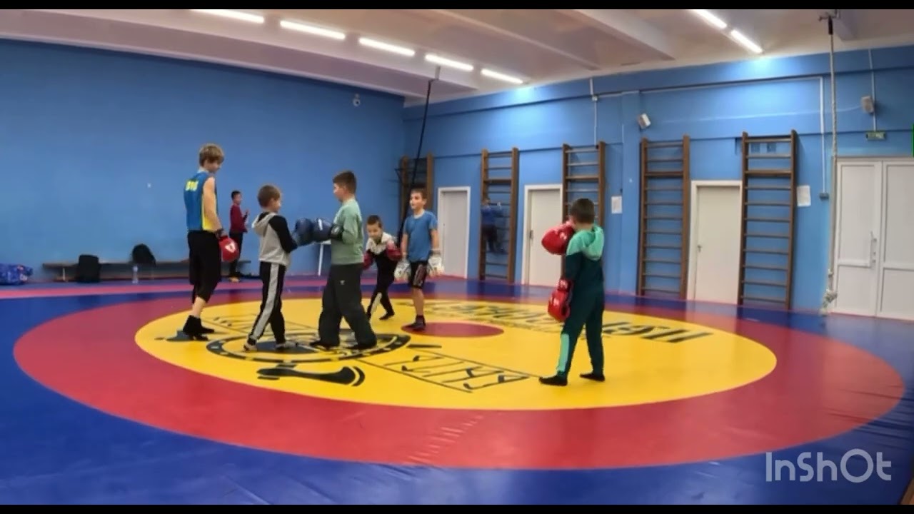 Боксики с малышами , 1 декабря 2025 г.