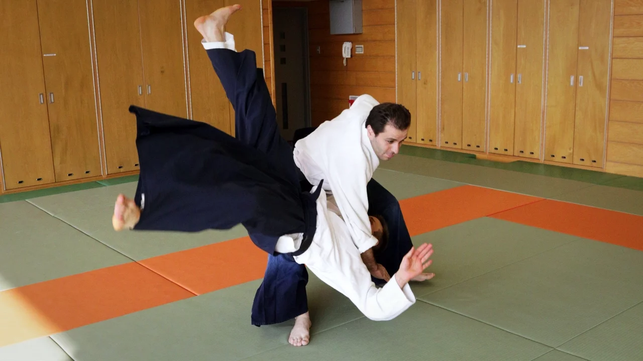 Powerful Aikido - Guillaume Erard in Tokyo (September 2014) background