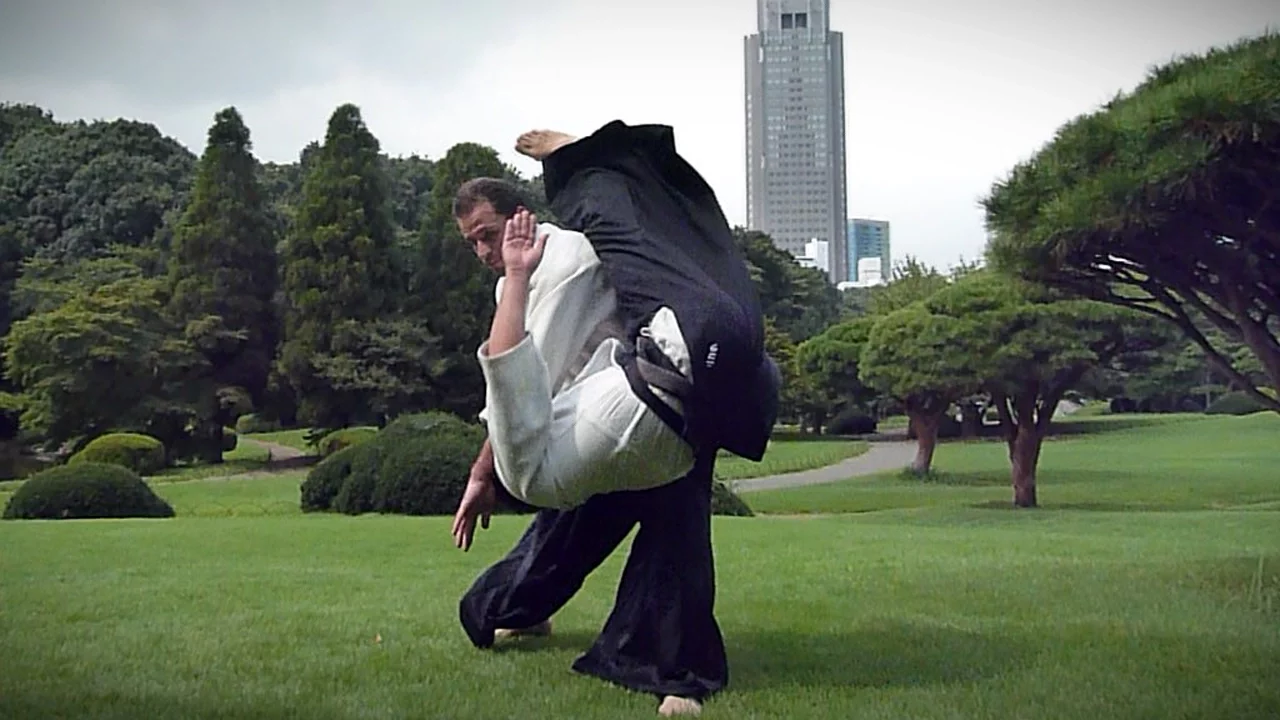 Harmonious Aikido - Guillaume Erard in Shinjuku Gyoen (July 2013)