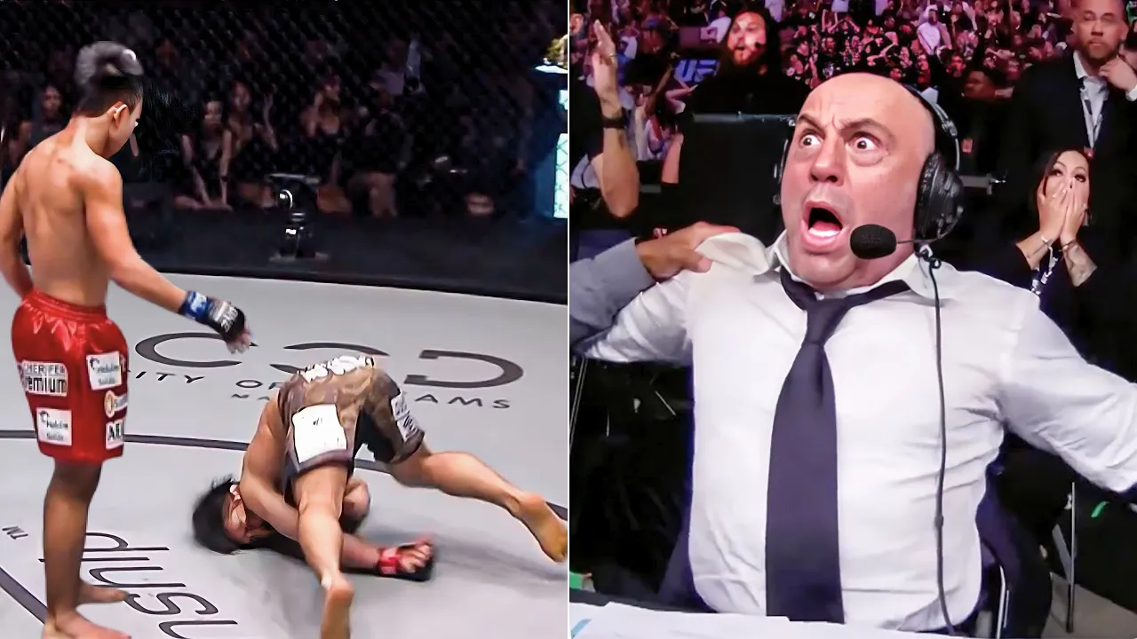 Insane MMA Knockouts You Have to See to Believe!