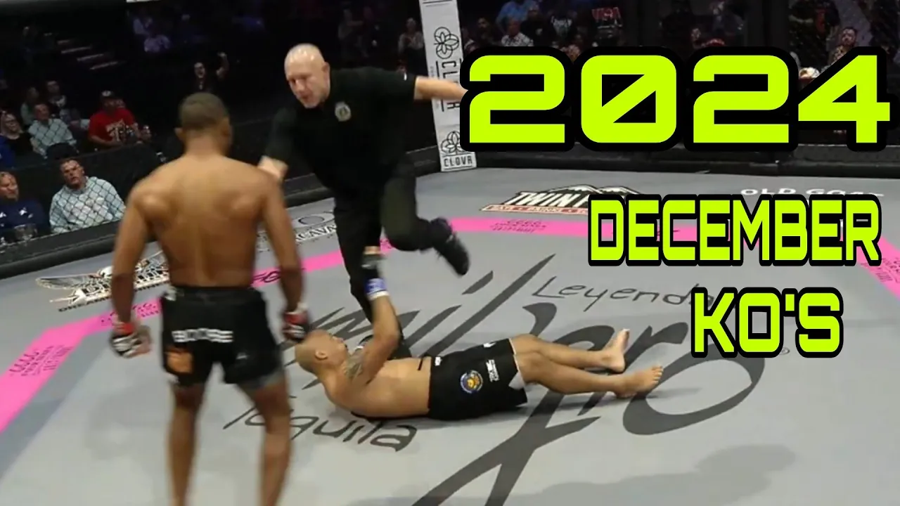 Best of MMA Knockouts December 2024 Week 1