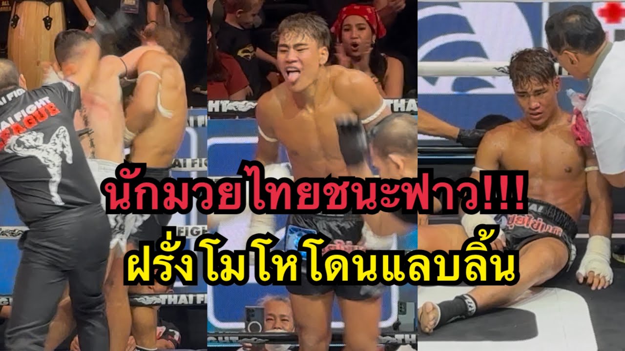 มวยคาดเชือกชนะฟาว! เพชรเอก พชร ยิม vs Poya Bayrami | Thai Fight League
