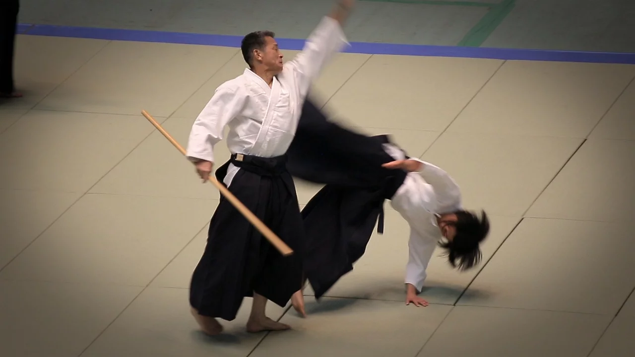 Aikido - Yasuno Masatoshi Shihan - 53rd All Japan Aikido Demonstration (2015)