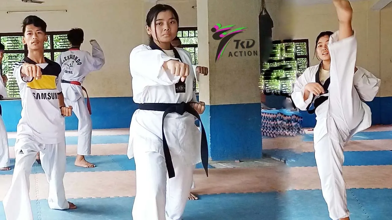 Taekwondo Warm Up Basic Kicks Exercise Routine For Beginners background
