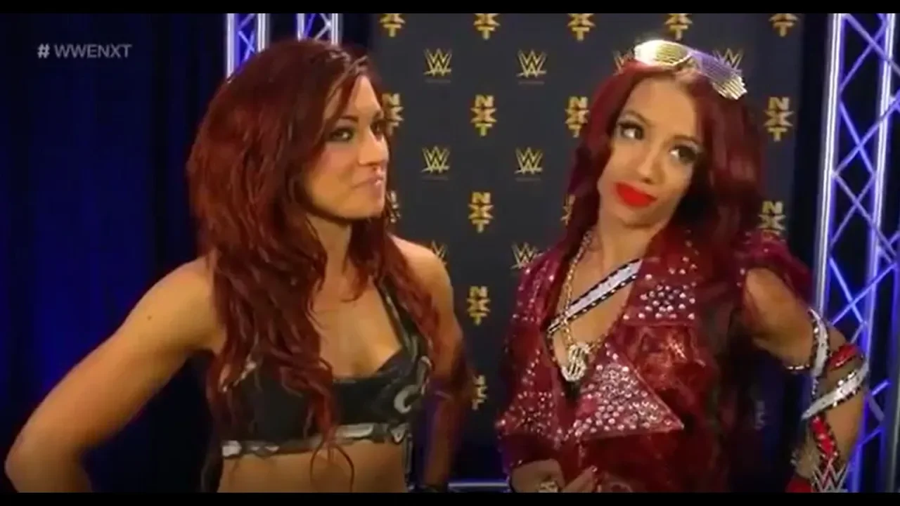 Becky Lynch and Sasha Banks vs Charlotte and Bayley Nxt 2015 background