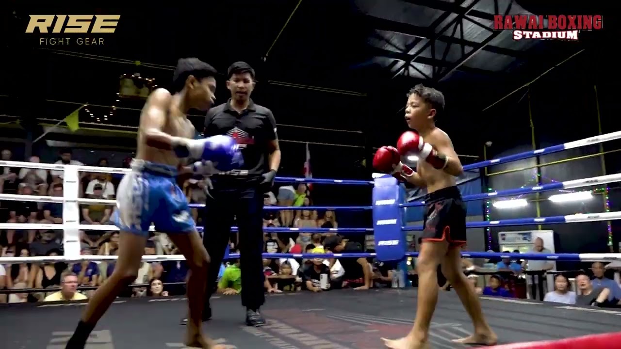 ЁЯЗ╣ЁЯЗн Thailand Fighters ЁЯЗ╣ЁЯЗн тАУ Rising Thai Talents Shine in Muay Thai Showdown! тЪФя╕ПЁЯеК