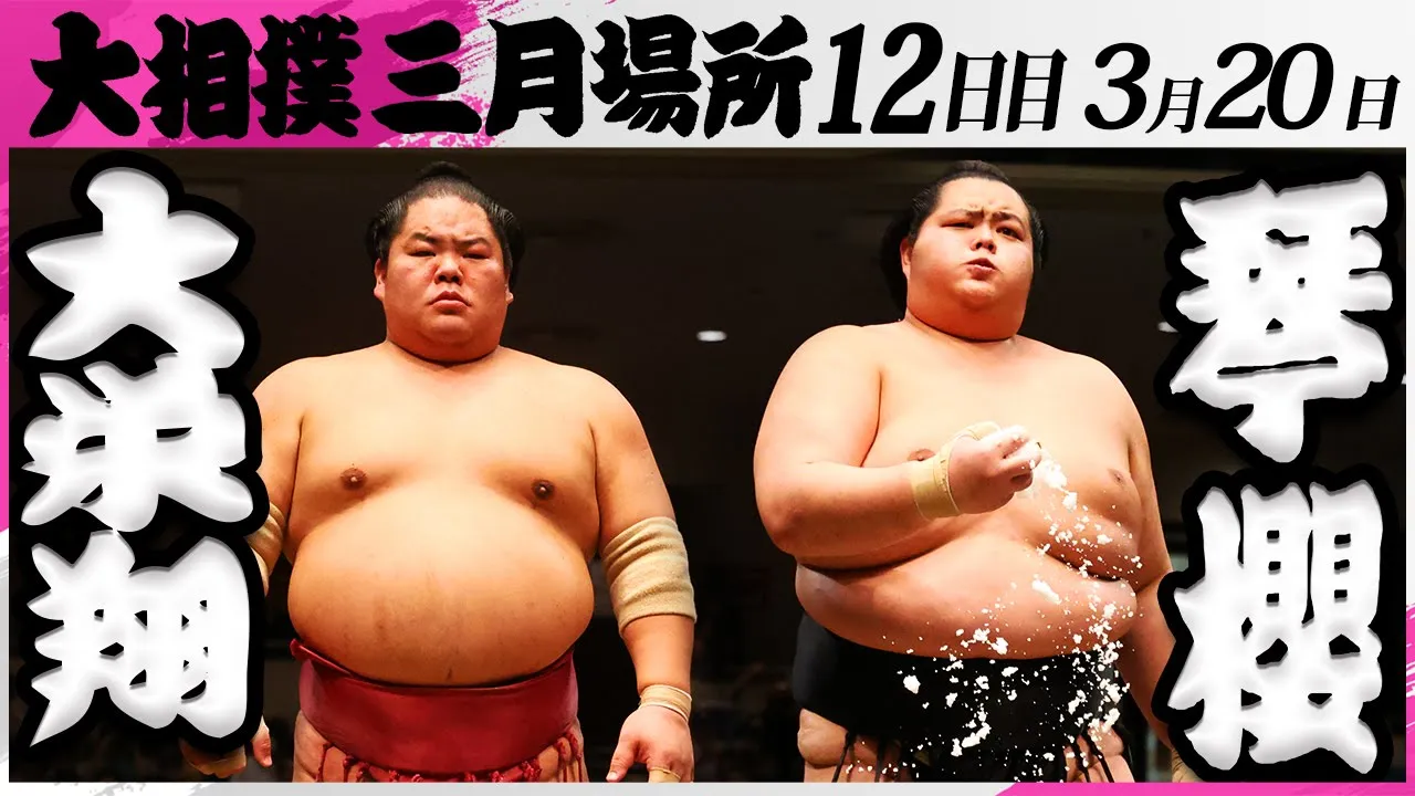 大相撲 大栄翔-琴櫻<令和7年三月場所・12日目>SUMO