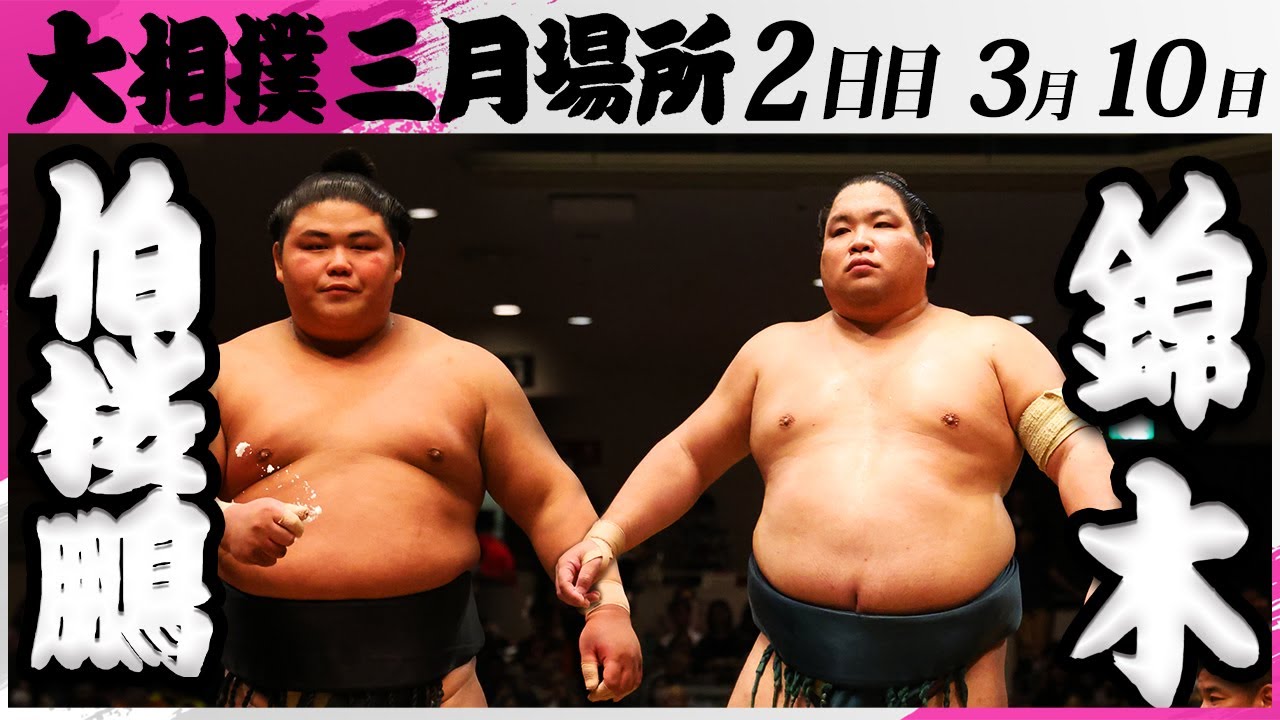 大相撲 伯桜鵬ー錦木<令和7年三月場所・2日目>SUMO