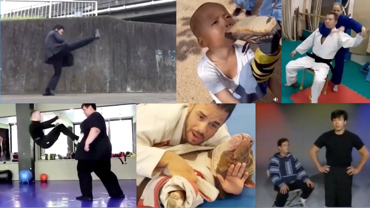 Funniest Martial Arts Clips Ever - A Survey Of Funny