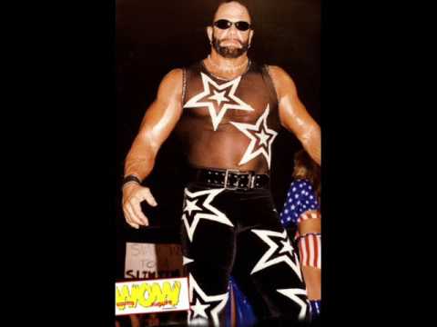 Randy Savage - 5th Theme background