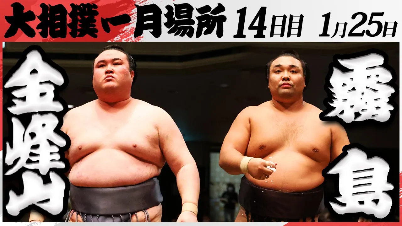 大相撲 金峰山ー霧島 <令和7年一月場所・14日目>SUMO background