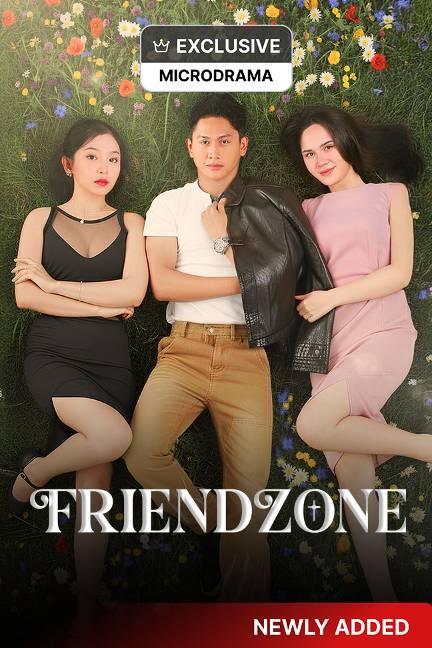 Friendzone poster