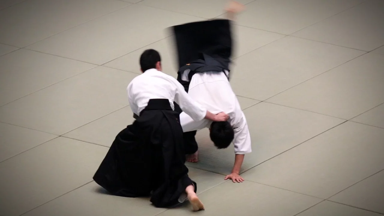 Aikikai Aikido - Oyama Yuji Shidoin - 54th All Japan Aikido Demonstration (2016)