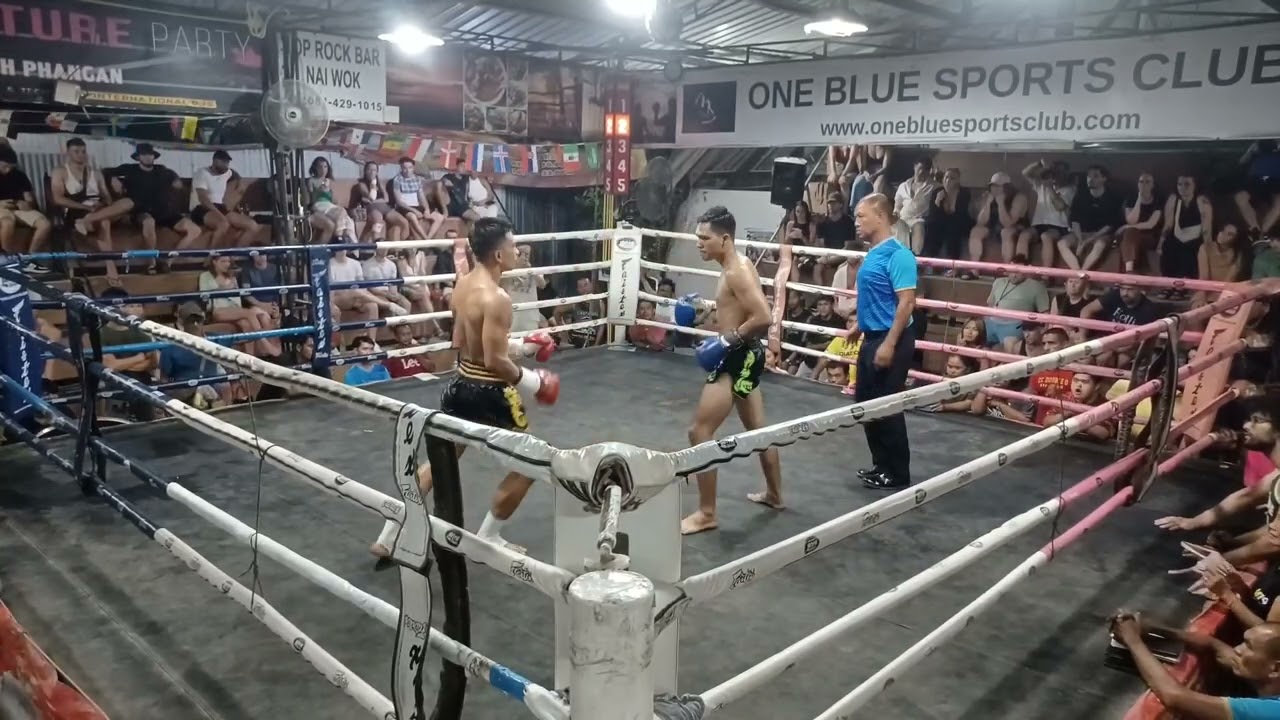 MuayThai KohPhangan I Zaha M19MuayThai vs Maneedang Dabyotin - 10 June 2024 backdrop