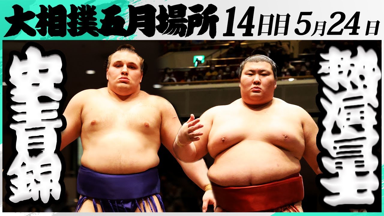 大相撲 安青錦ー熱海富士<令和7年五月場所・14日目>SUMO