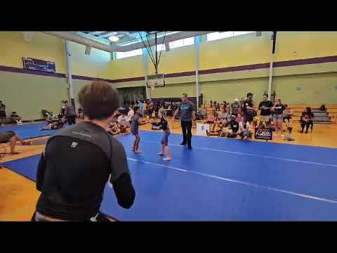 Julyia Samgorodsky Armbar