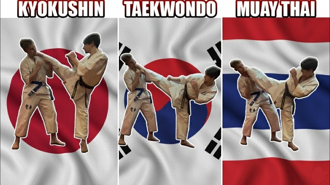 Muay Thai vs Kyokushin vs Taekwondo: ROUNDHOUSE KICK