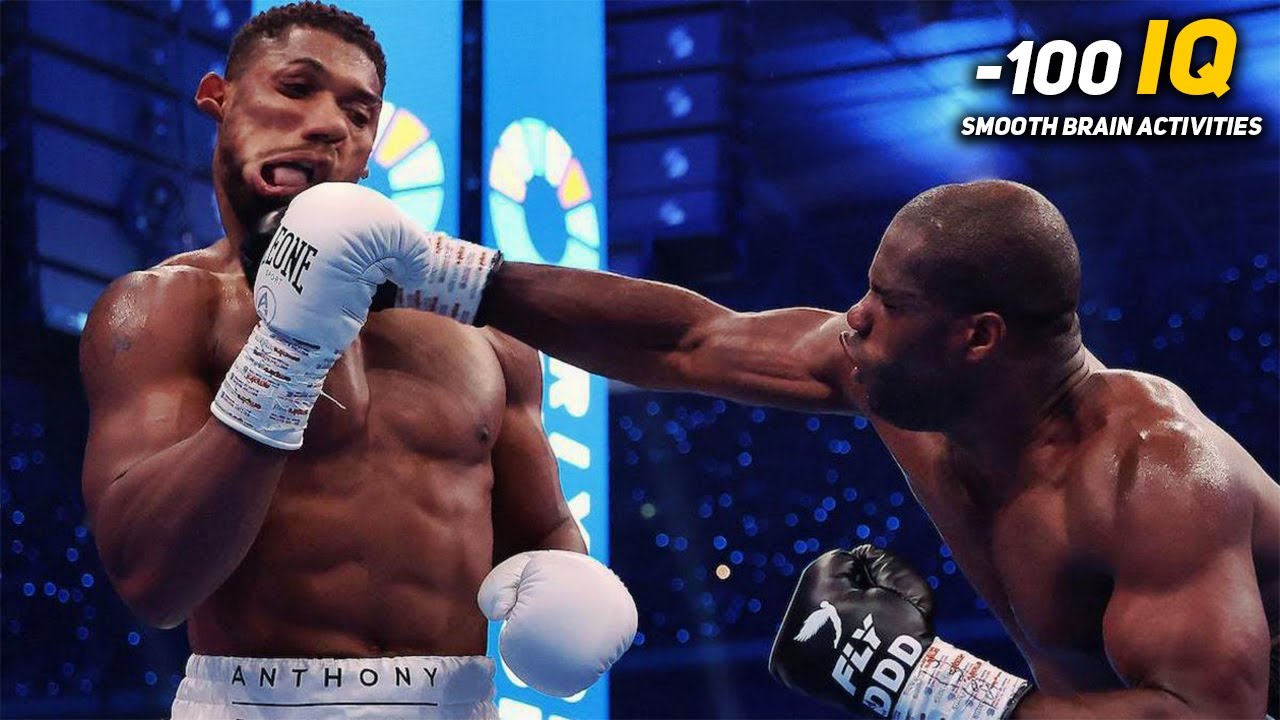 When Boxers Display -100 IQ background