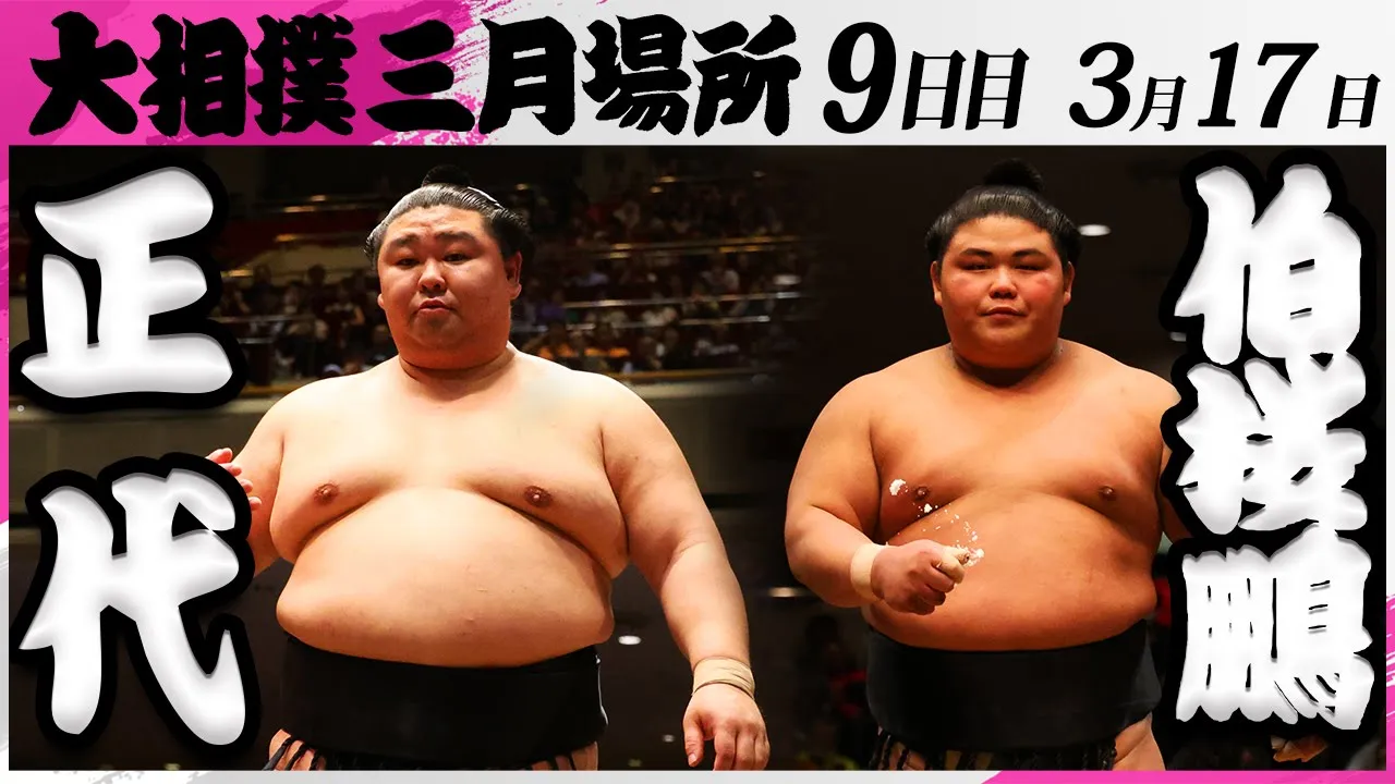 大相撲 正代ー伯桜鵬<令和7年三月場所・9日目>SUMO background