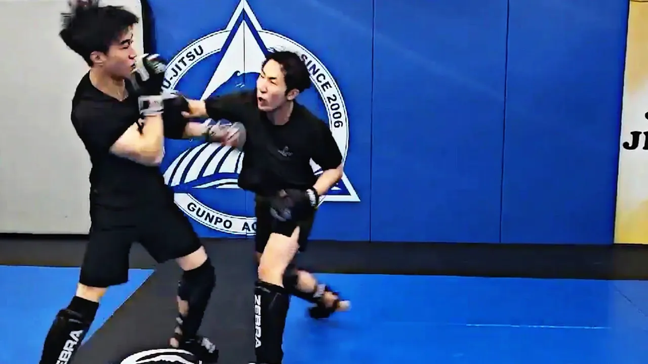검정 vs 바이퍼 스파링 풀영상ㄷㄷ