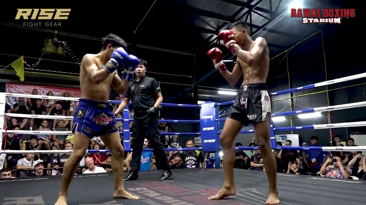 ๐ฆ๐ฟ Azerbaijan vs Thailand ๐น๐ญ | Fast KO with Clean Punch Combo! ๐ฅ๐ฅ background