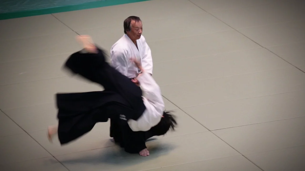 Aikido Demonstration - 54th All Japan Aikido Demonstration (2016)