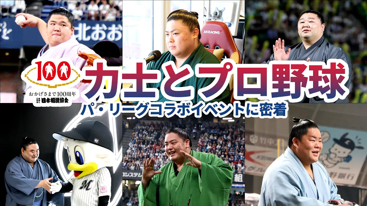 大相撲とプロ野球パ・リーグがコラボ! イベントに密着! SUMO background