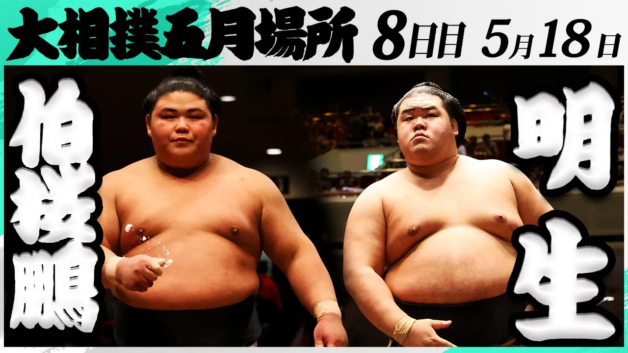 大相撲 伯桜鵬ー明生<令和7年五月場所・8日目>SUMO