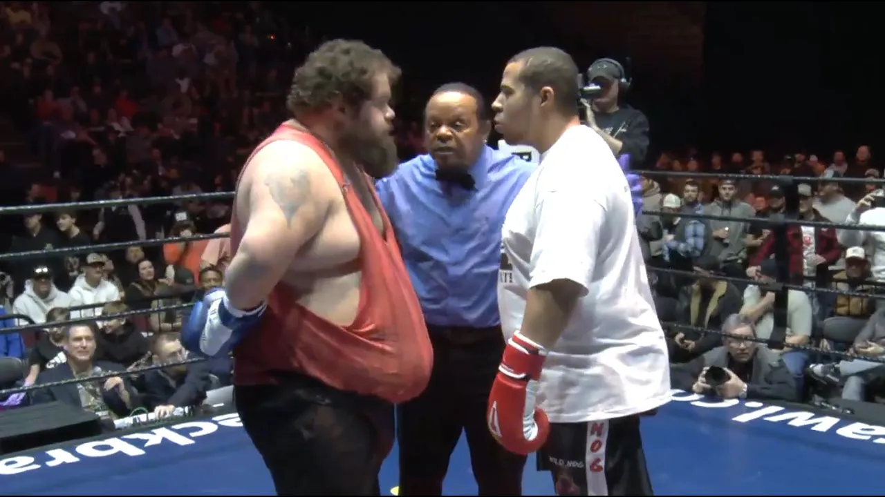 Wild Brawl between Cat and Wild Hog! backdrop