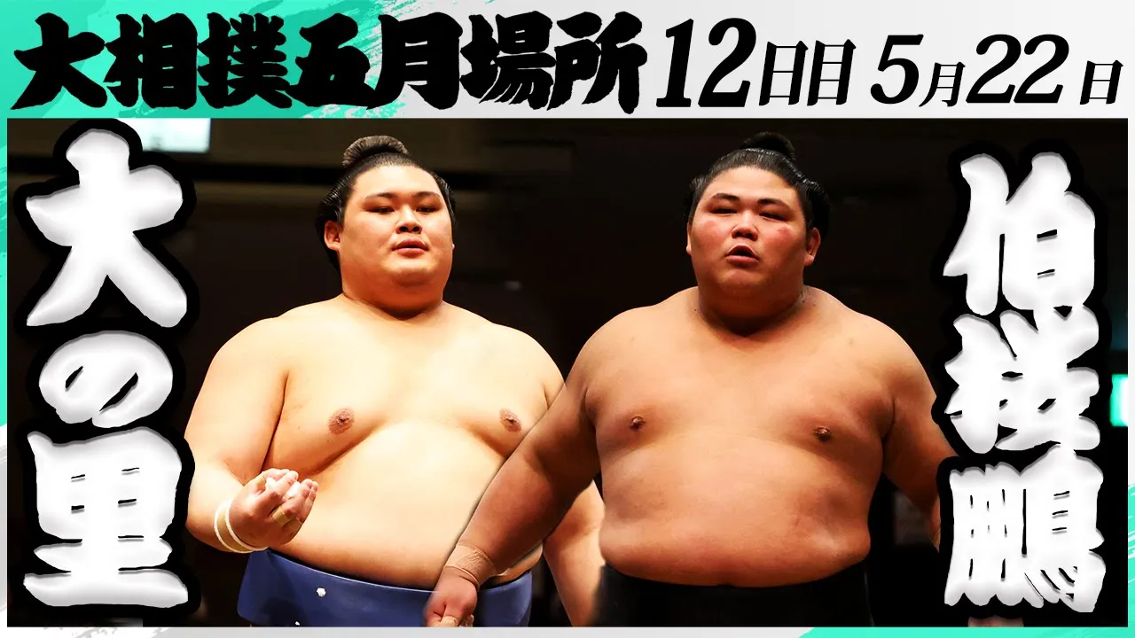 大相撲 大の里ー伯桜鵬<令和7年五月場所・12日目>SUMO