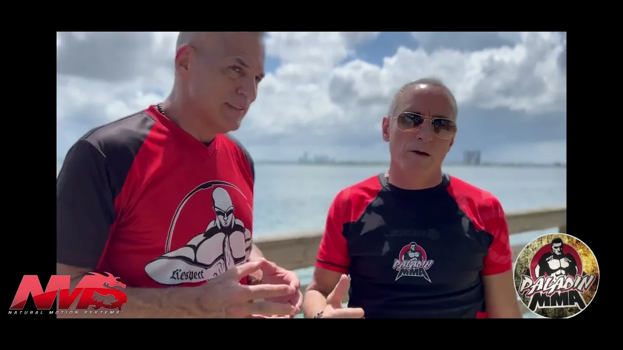 Counter striking for Martial arts and combat sports background