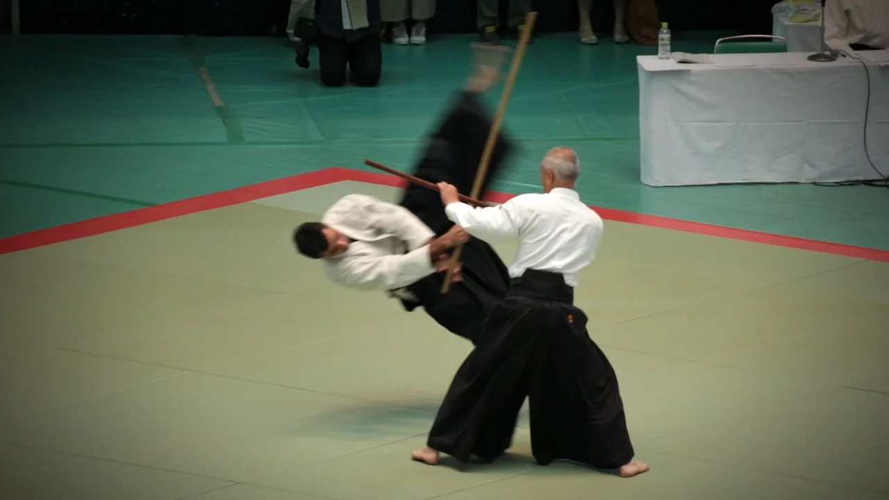 Aikikai Aikido - Inagaki Shigemi Shihan - 54th All Japan Aikido Demonstration (2016)