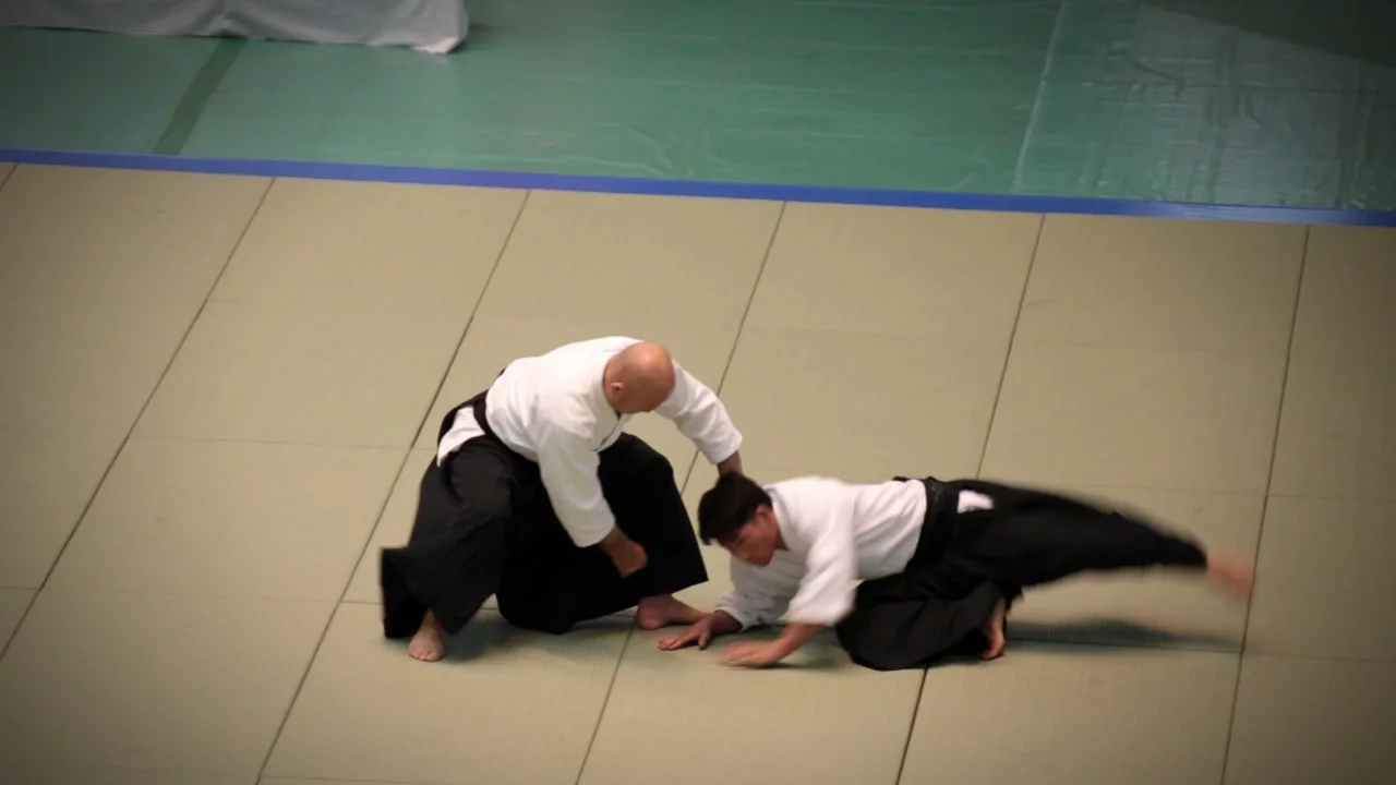 Aikikai Aikido - Kuribayashi Takanori Shihan - 54th All Japan Aikido Demonstration (2016)