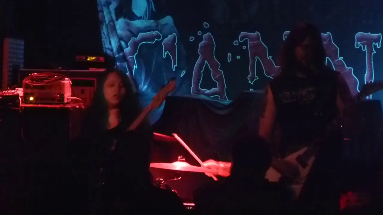 Thicket - Unleash the Beast