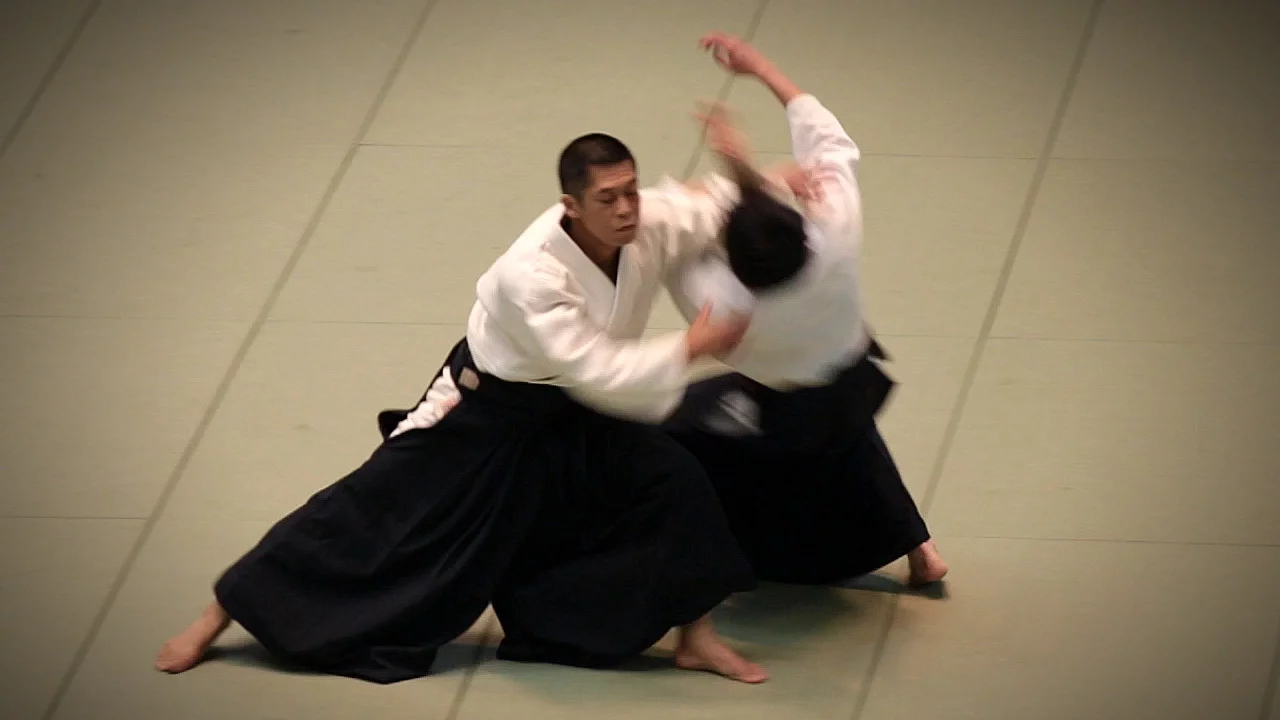 Aikikai Aikido - Irie Yoshinobu Shihan - 54th All Japan Aikido Demonstration (2016)